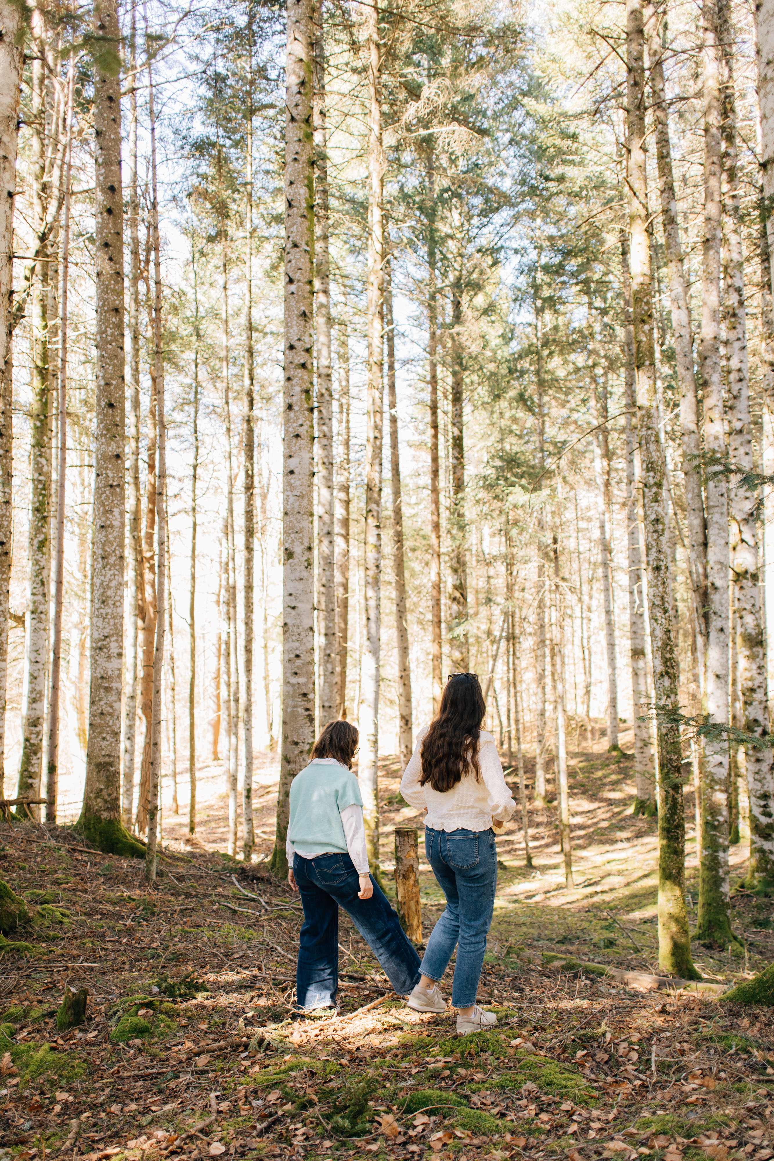 Marche thérapeutique en forêt
